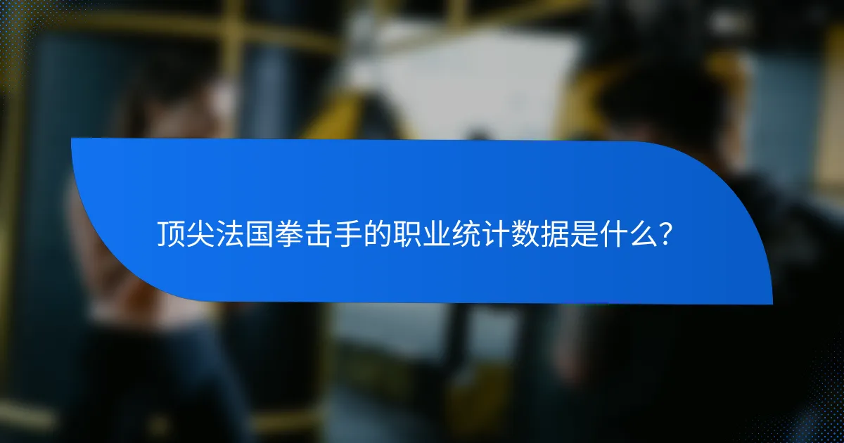顶尖法国拳击手的职业统计数据是什么?