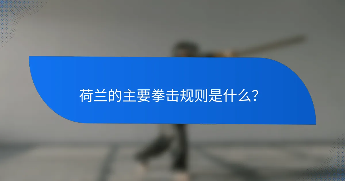 荷兰的主要拳击规则是什么?