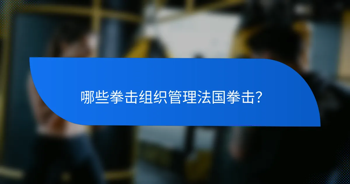 哪些拳击组织管理法国拳击?