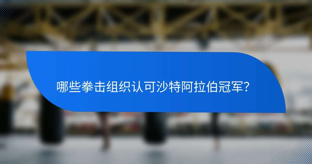 哪些拳击组织认可沙特阿拉伯冠军?