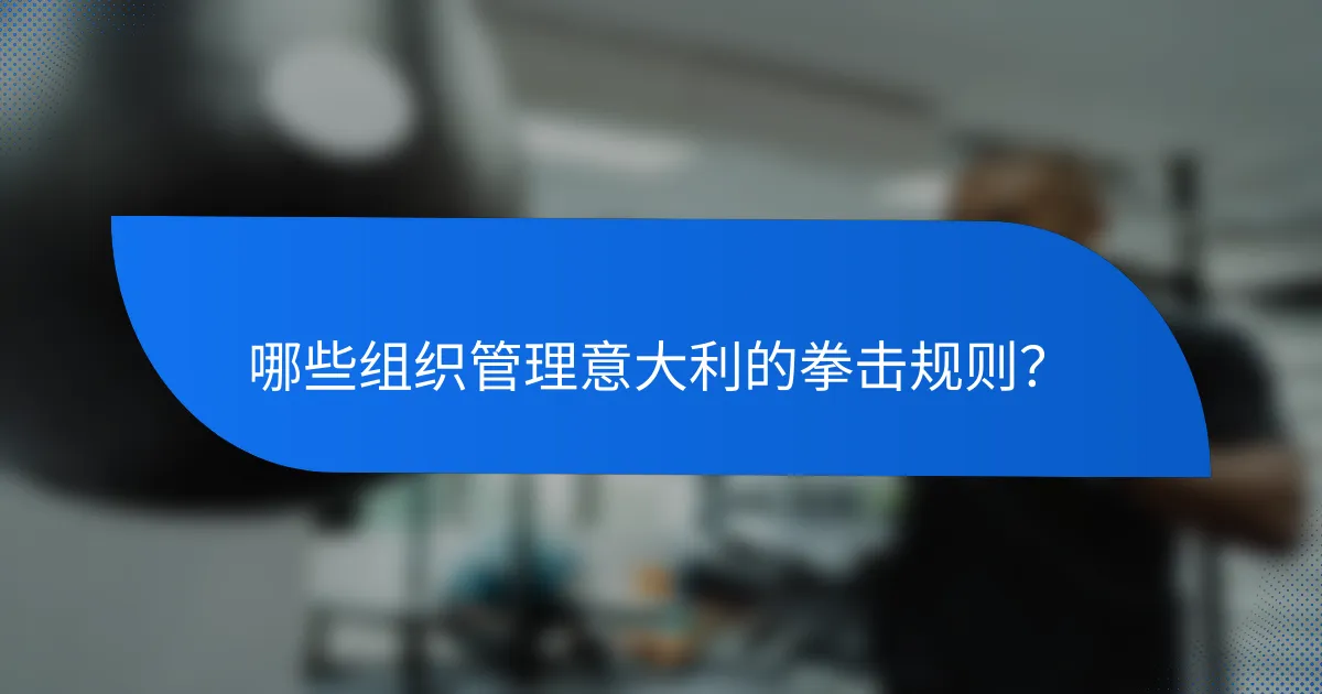 哪些组织管理意大利的拳击规则?