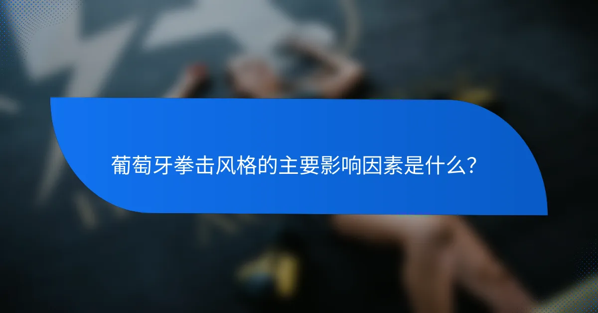 葡萄牙拳击风格的主要影响因素是什么？