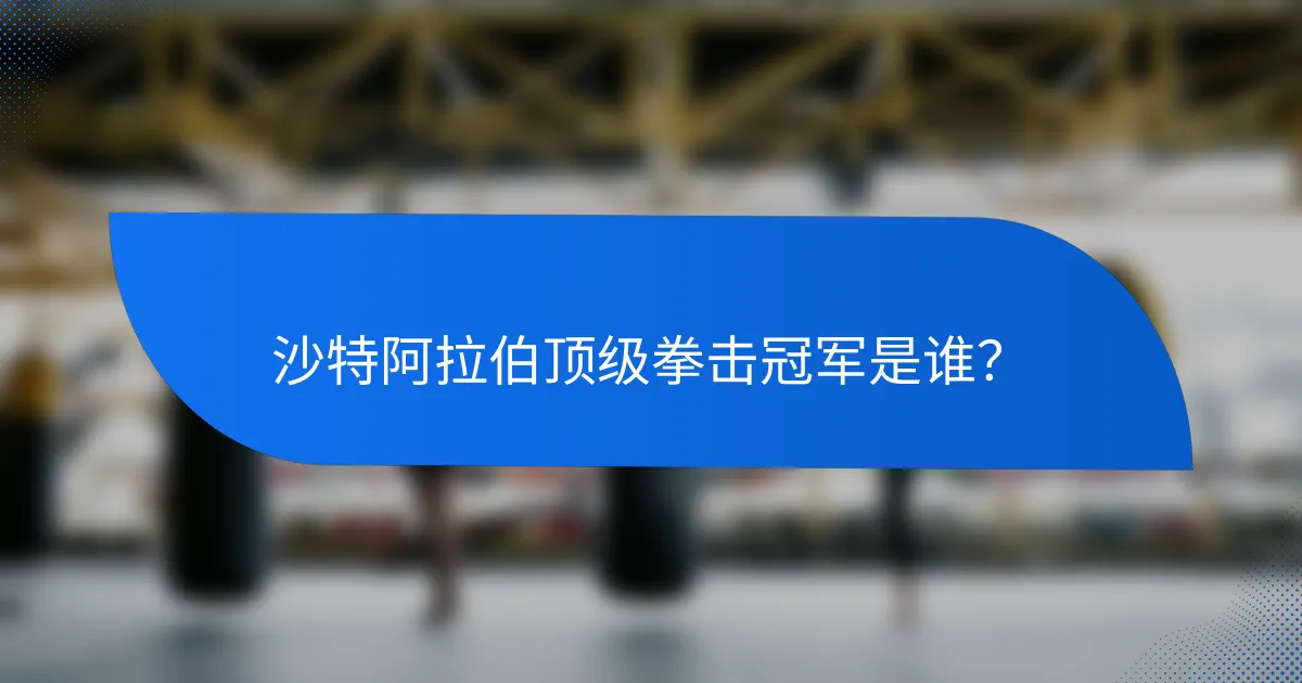 沙特阿拉伯顶级拳击冠军是谁?